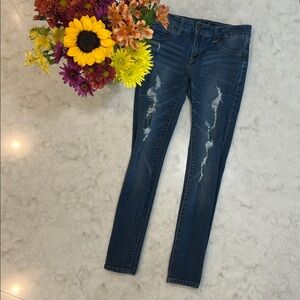 1822 Distressed Denim Skinny Jeans